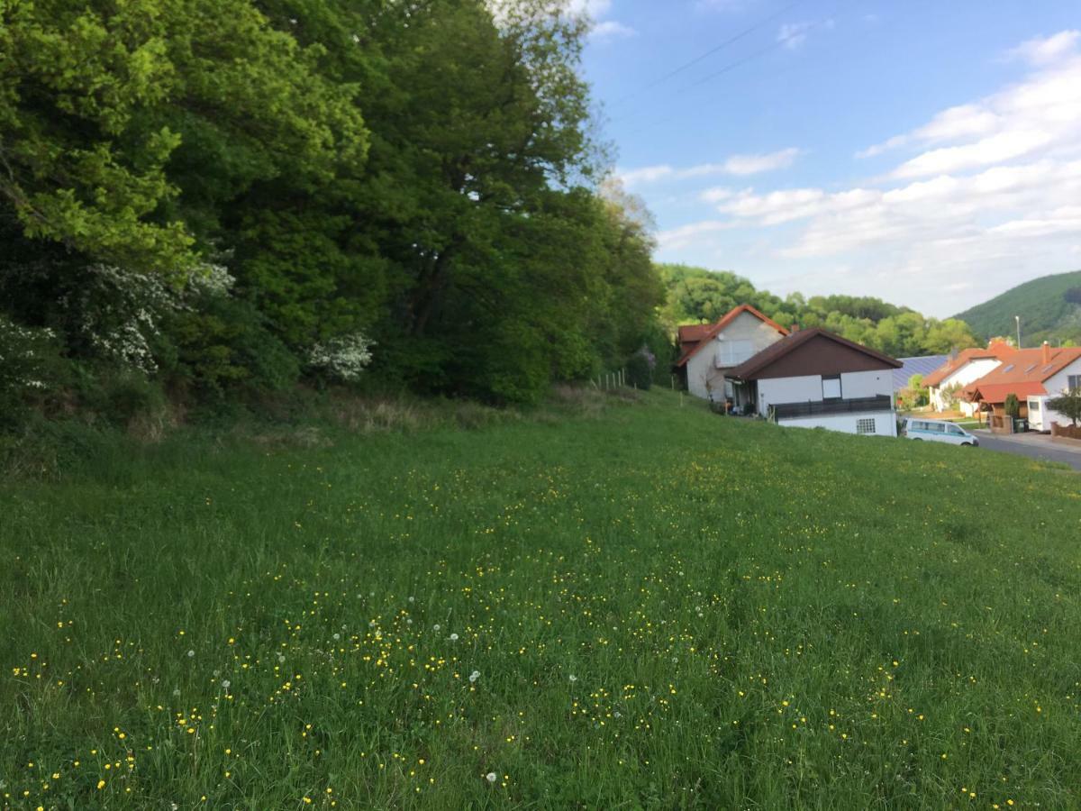 Ferienhaus Moscheltal Villa Waldgrehweiler Exterior photo